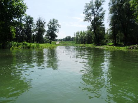 Ásványi hullámtéri vízpótlórendszer a Béka-éri csatorna, 2015. június 02-.án