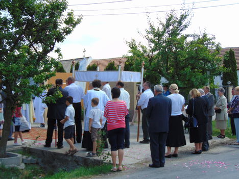 DSC01252