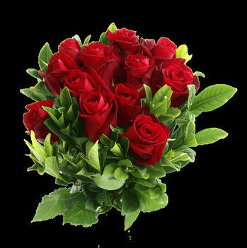 Rózsát mindenkinek.Szép kellemes napot kívánok.