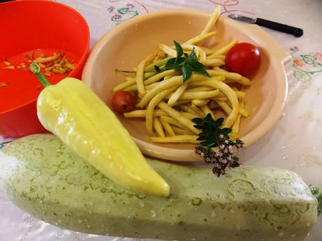 Zöldség nap: zöldbabot és tököt  az asztalra...
