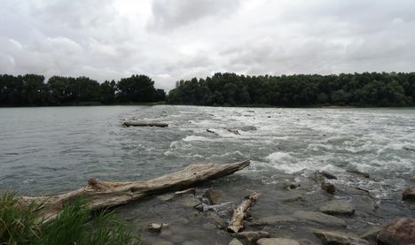 Dunakiliti fenékküszöb a Duna folyam 1843 fkm-ben, 2015. július 14.-én
