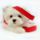 Lovely_white_puppy_dog_83254_1939099_9697_t