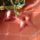 Stap_grandiflora_1939548_4644_t