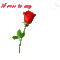 Heart_&_Roses_