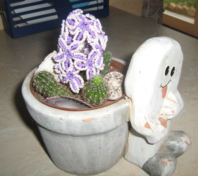 kivirágzott a kaktuszom:-)
