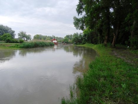 Lajta folyó egy kisebb árhullámnál, 2015. május 25.-én a torkolatánál