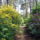 Rododendronokkal_alatelepitett_erdeifenyves-002_193842_24067_t