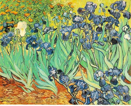 Vincent van Gogh /1853-1890/  Iriszek