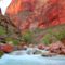 -beautiful-desert-stream-in-the-grand-canyon