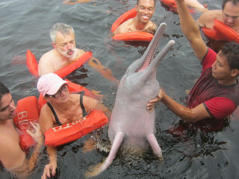 Rózsaszín delfinekkel...
