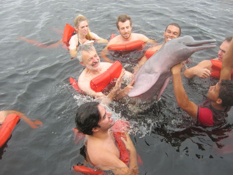 Rózsaszín delfinekkel...