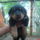 Dsc00805_1944926_9746_t