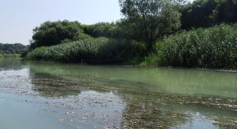 Dunakiliti, Szigeti Duna, A szigetközi hullámtéri vízpótlórendszer, 2015. augusztus 06.-án