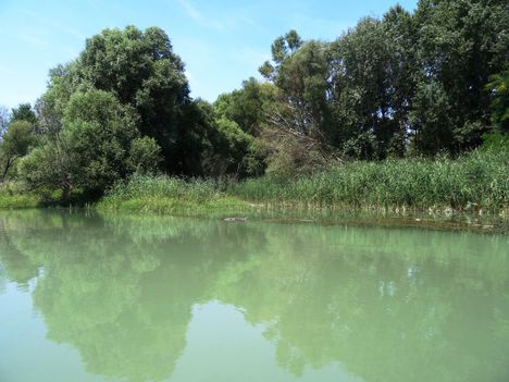 Dunakiliti, Szigeti Duna-ág,  szigetközi hullámtéri vízpótlórendszer, 2015. augusztus 06.-án