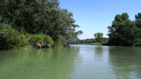 Dunakiliti, Szigeti Duna-ág felső szakasza, Hullámtéri vízpótlórendszer, 2015. augusztus 06.-án