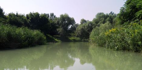 Dunakiliti, Szigetparti-ág, Szigetközi hullámtéri vízpótlórendszer, 2015. augusztus 06.-án