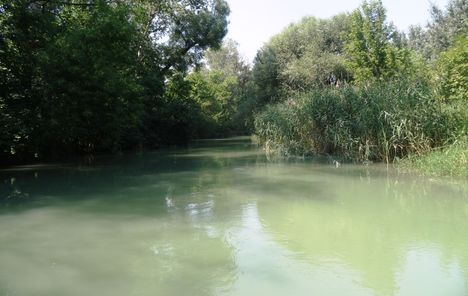 Dunakiliti, Zalka-ág, Szigetközi hullámtéri vízpótlórendszer, 2015. augusztus 06.-án