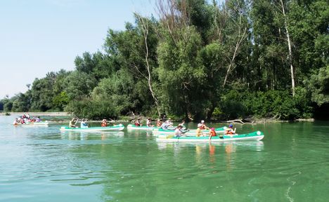 Dunasziget, Barkási Duna-ág, Szigetközi hullámtéri vízpótlórendszer 2015. augusztus 06.-án