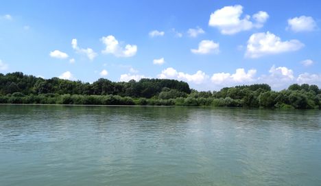 Kisbodaki Duna part, a Duna folyam főmeder sodorvonalából nézve, 2015. augusztus 04.-én