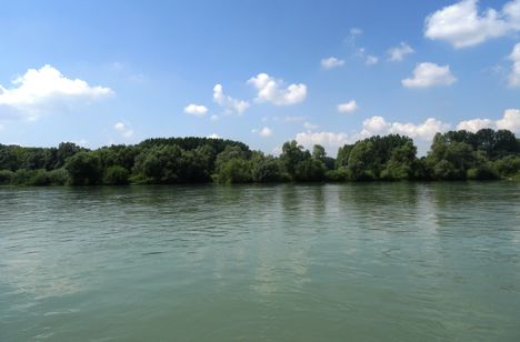 Kisbodaki Duna part, a Duna folyam főmeder sodorvonalából nézve, 2015. augusztus 04.-én