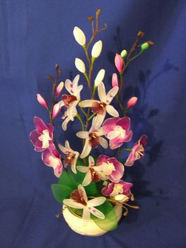 orchidea mix