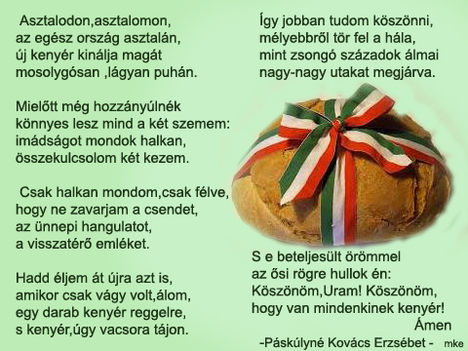 ÚJ  KENYÉR