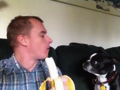 Banán-gif
