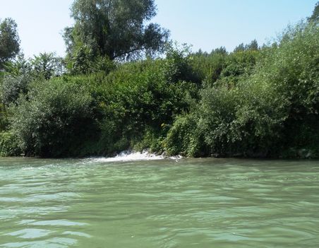 Duna folyam 1836, 7 fkm jobb part, Csurgás a hullámtéri vízpótlórendszer felöl, 2015. augusztus 04.-én