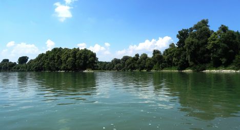 Duna folyam főmeder 1812.4 fkm, balpart az Isztragai mellékág torkolata, 2015. augusztus 04.-én