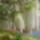 Szep_7_1949212_2573_t