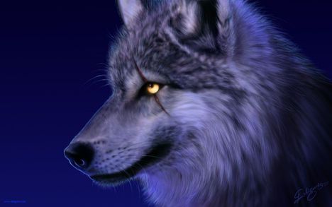 Wolf