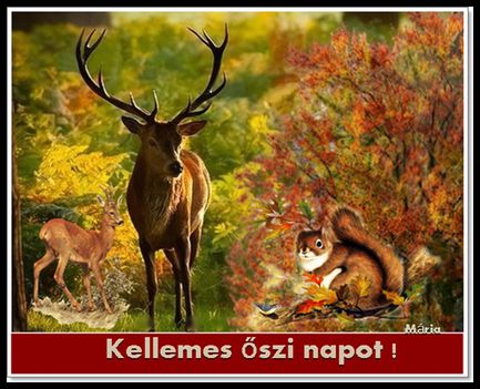 Kellemes őszi napot.