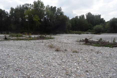 Schwarza folyó torkolati szakasza Haderswörthnél Ausztriában, 2015. szeptember 30.-án