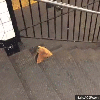 Patkány és a pizza-gif