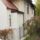 A_soproni_szent_margit_templomban_20151010_6-001_1955266_7517_t