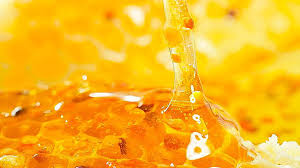 images (43)
