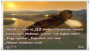 images (74)