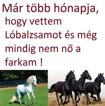 Ló!