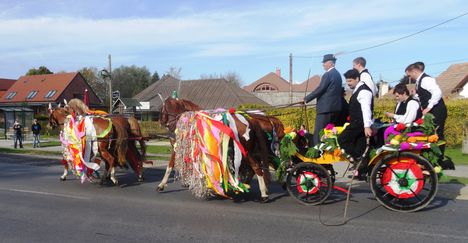 Csingis lovak felvonulása a Halászi Szent Márton búcsú napján, 2015. november 08.-án 1