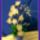 Hofeher_orchidea_mix_1958502_7713_t