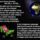 Aldas_bekesseg-029_1959913_4184_t