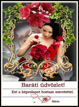 Képeslapod érkezett.