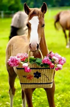 Neked hoztam a virágot :-))