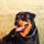 Samu_1959881_3809_t