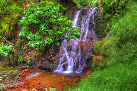 Waterfalls Belmont Moss-4510