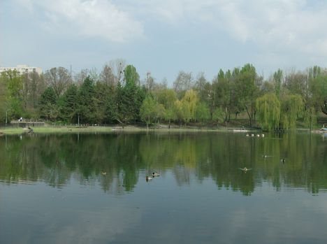 Csendélet a tónál 2