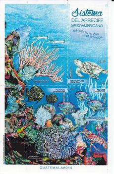 Közép-amerikai korallzátony rendszer