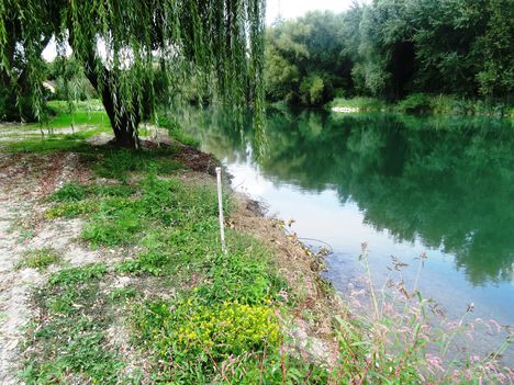 Mosoni-Duna, Mosonmagyaróvár a Rév utca mögötti terület, 2015. szeptember 09.-én