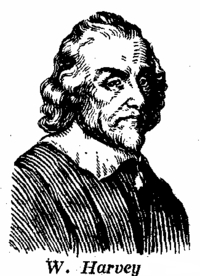 William Harvey /1578 - 1657/