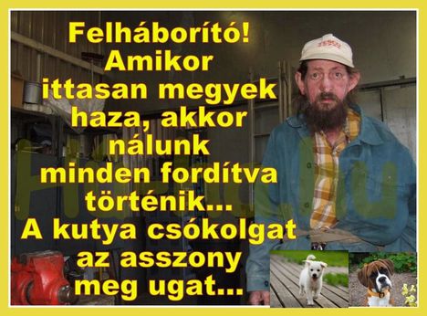 Fordítva!